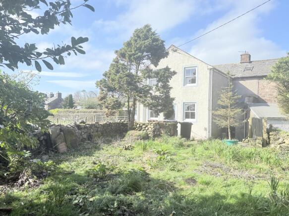 IMG 3238 T202603181000.jpg