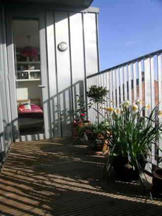 Photo 8