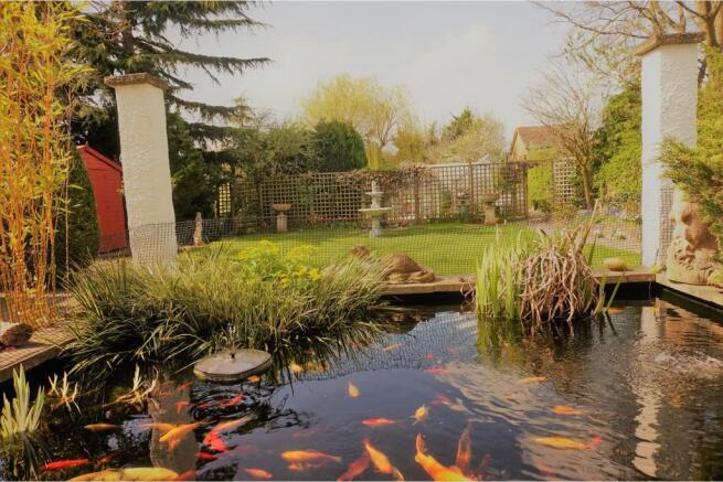 Pond