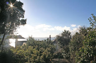 From the gardens