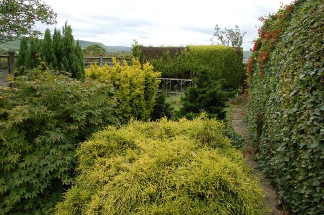 Secret Garden