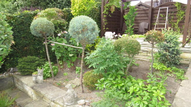 Photo 8