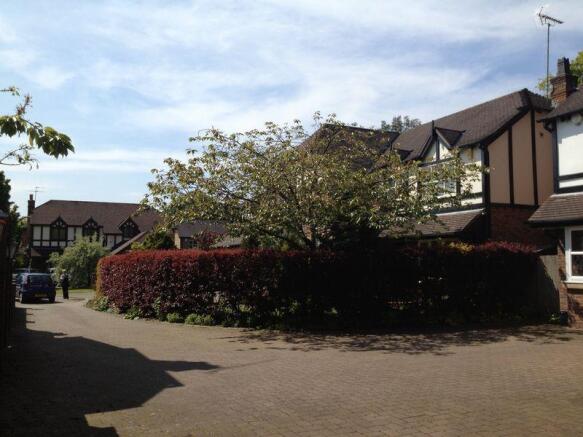 Driveway