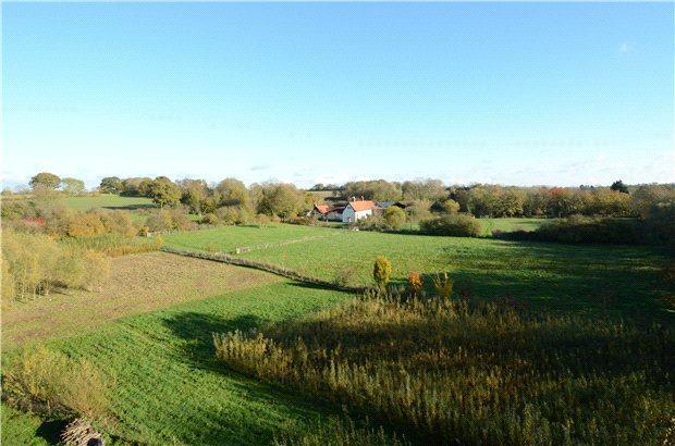 Halesworth Chediston