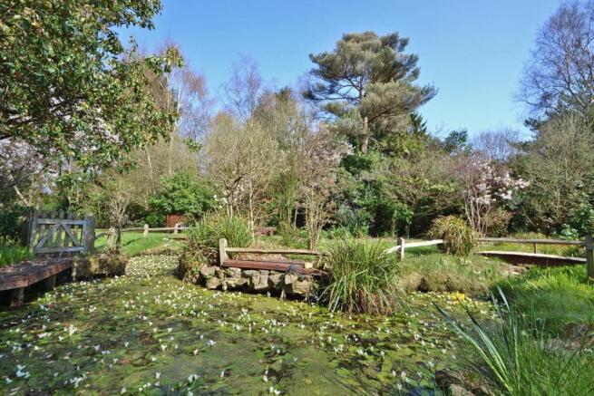 Pond