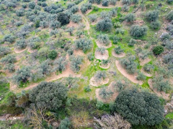 plot-land-malaga-rio