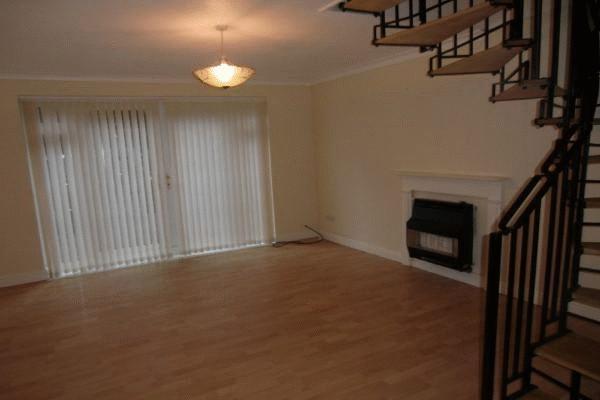 Photo3