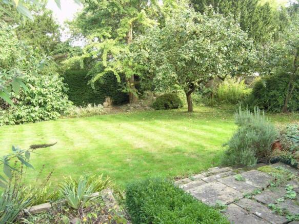 Photo 11