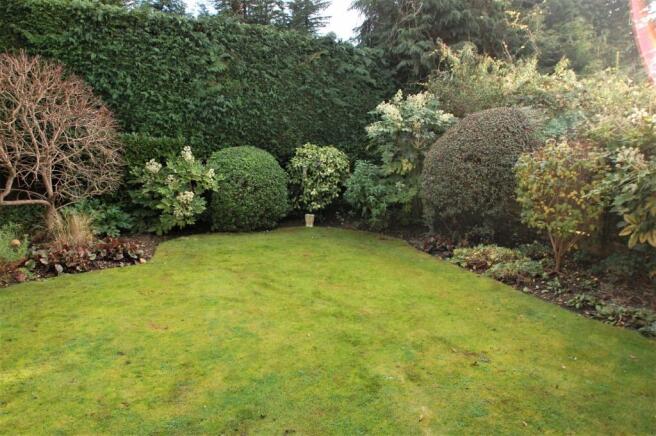Rear Garden 3