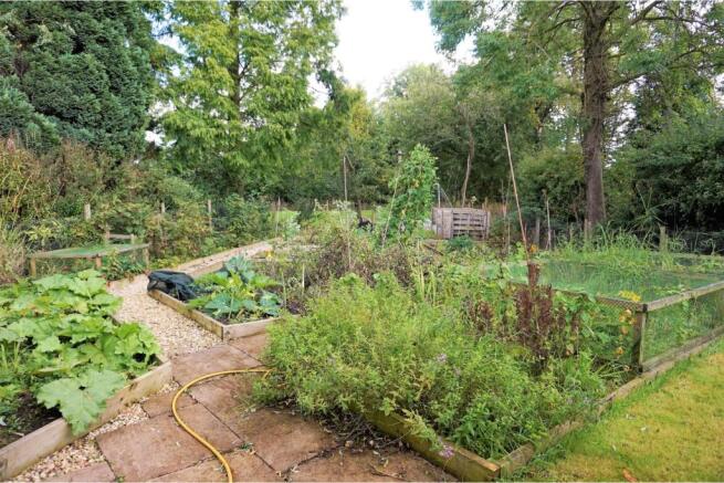 Side Garden
