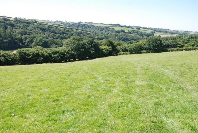 Middle Paddock
