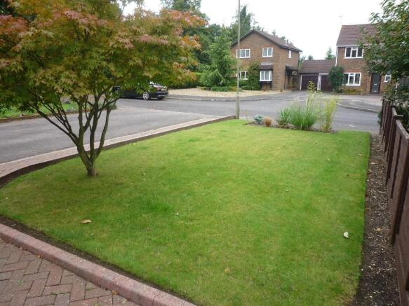 Photo 8