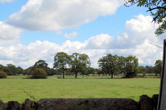 Views of Area