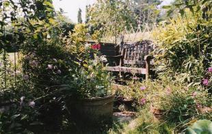 Photo 7