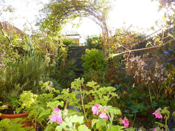 Photo 4