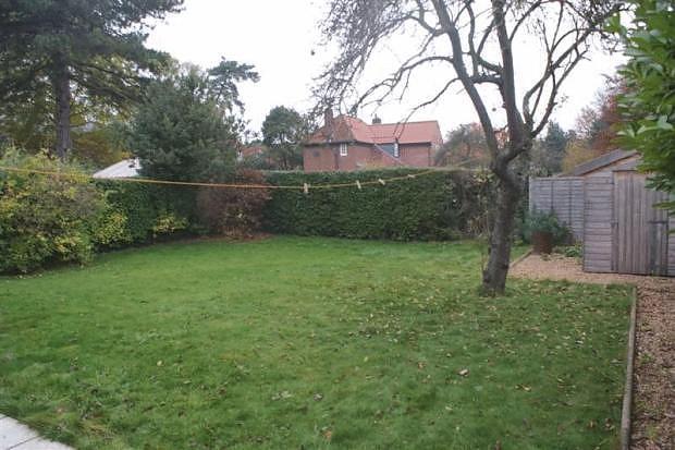 garden
