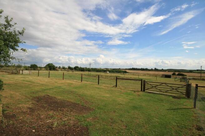Picture No.14