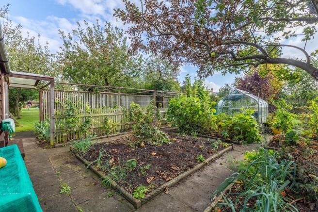 Vegetable Patch