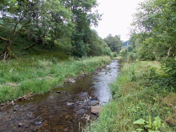 Photo 42