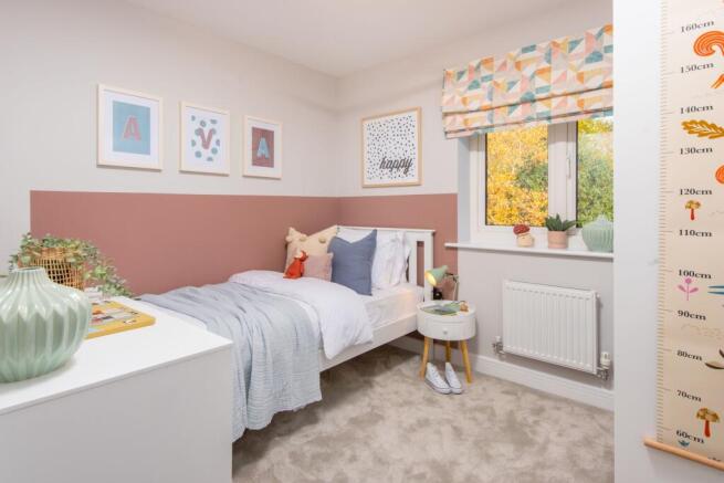 Showhome Photography