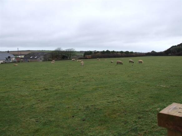 View from the Back G