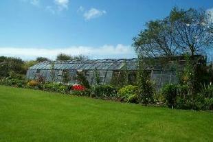 Various Greenhouses