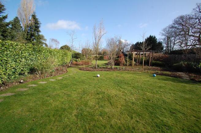 garden