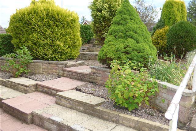 front garden
