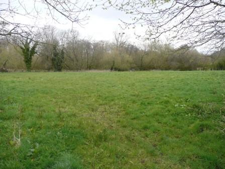 2nd Front Field