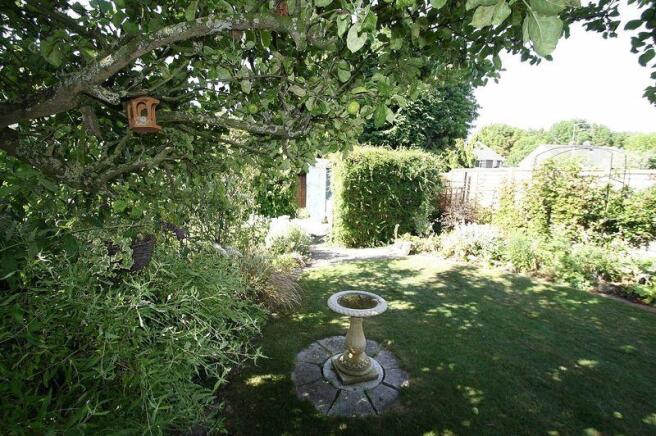 Garden 3