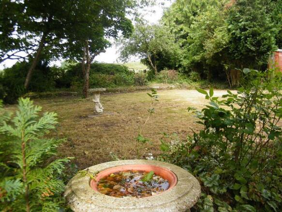 the garden