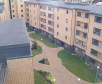 326150_CARLPICS 035.gif