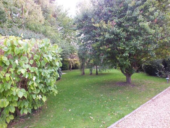 Photo 10