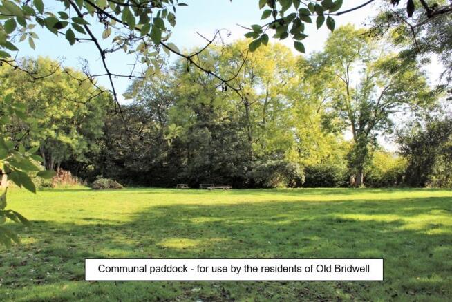Communal Paddock