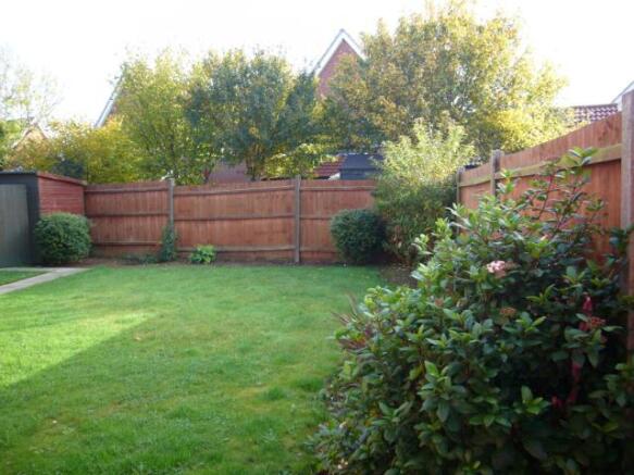 Photo 6