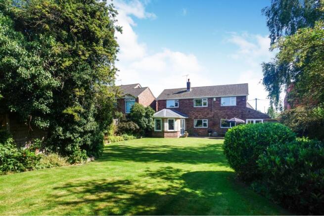 Rear View