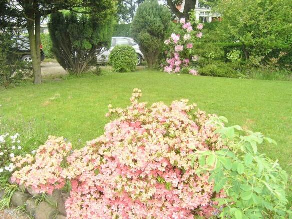 Side Garden