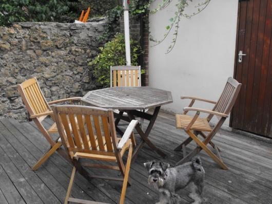 Courtyard Garden