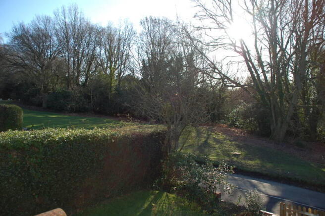 Picture 12