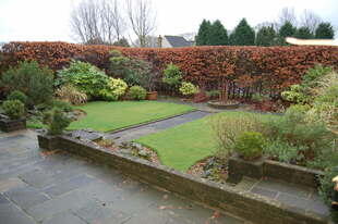 Photo 12