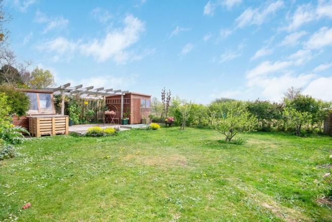 Back Garden
