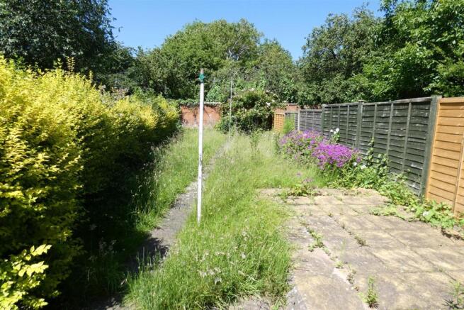 Garden.JPG