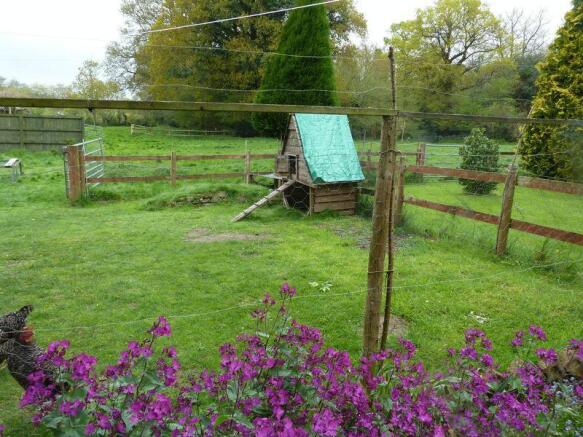 Rear of Garden