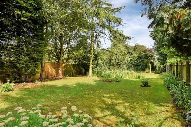 Rear Gardens
