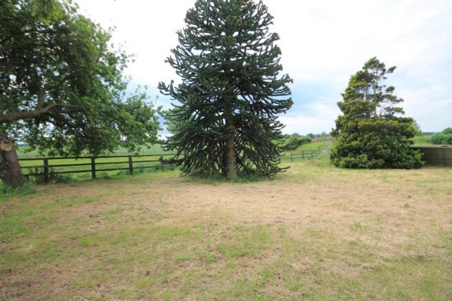 GARDENS & DRIVEWAY