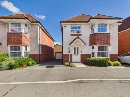 Hazel Tree Grove, Newport, NP20
