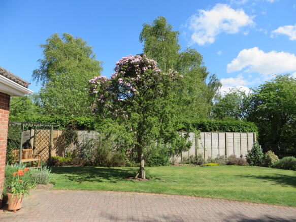 Photo 11