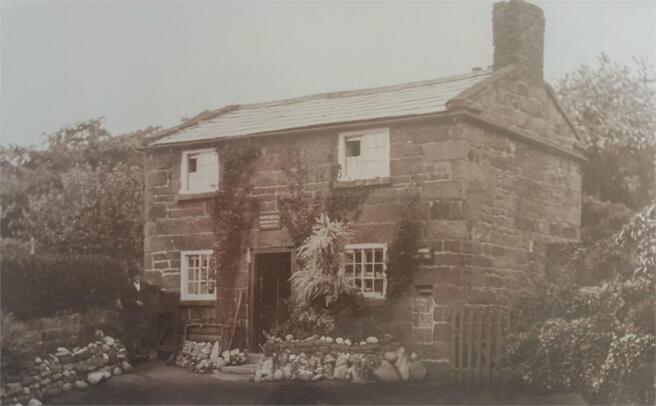 Photo 31