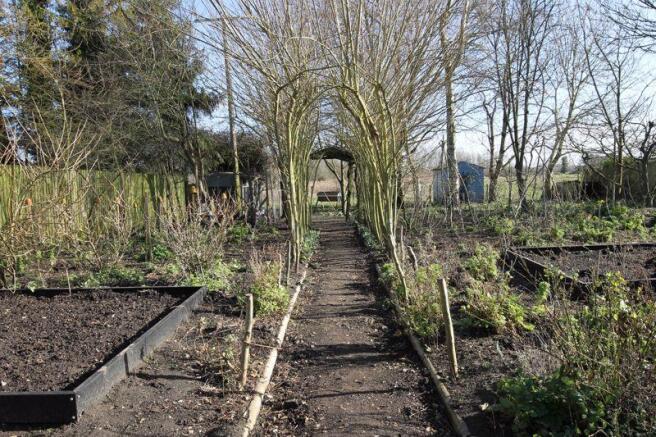 Vegetable Garden