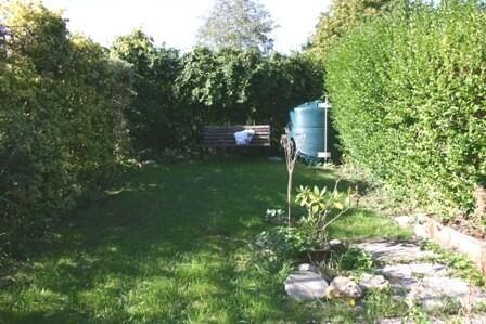Back Garden